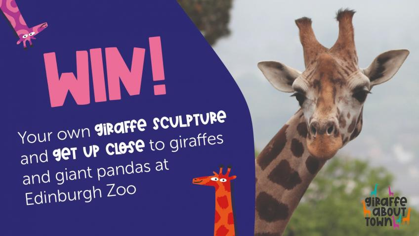 Win your own giraffe! - a Environment crowdfunding project in Edinburgh ...