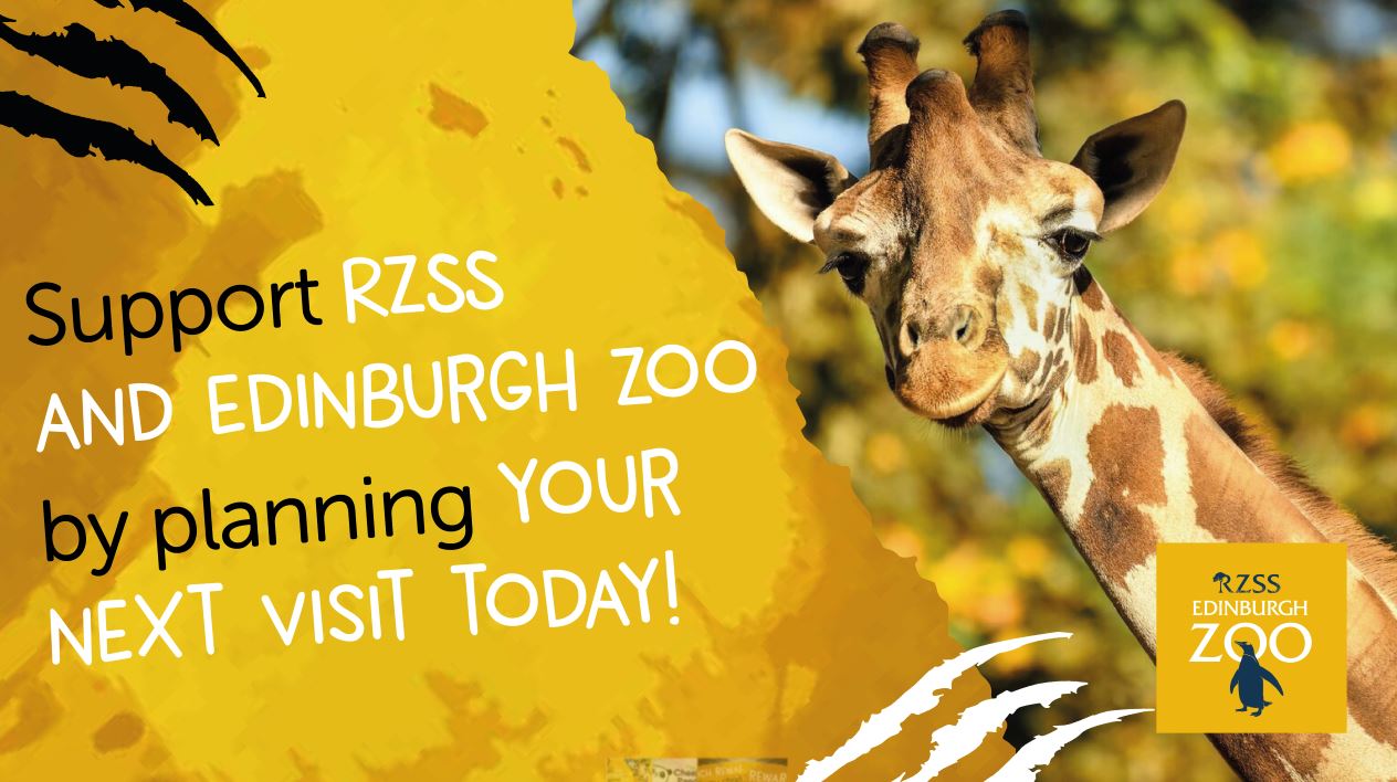 Support Edinburgh Zoo by planning your next visit! - a Charities ...