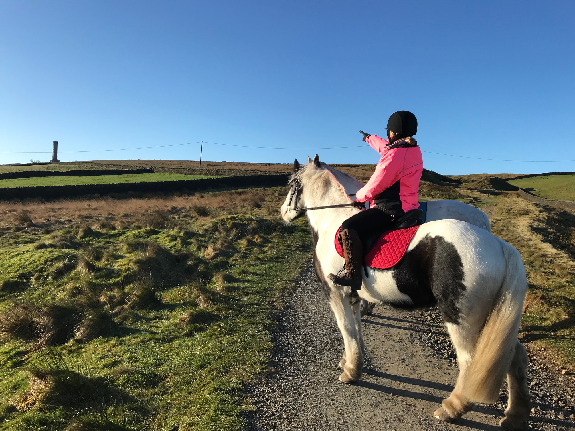 Legacy Ladies Riding Tights - Longsight Stables & Tack Shop