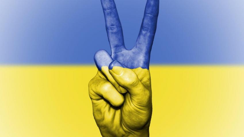 best charities to donate to ukraine