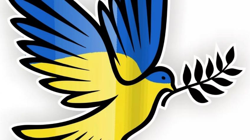 Ukrainian Humanitarian Support - A Charities Crowdfunding Project In ...