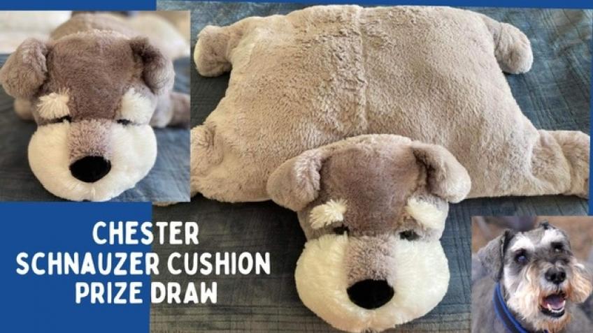 Schnauzer pillow pet outlet bed