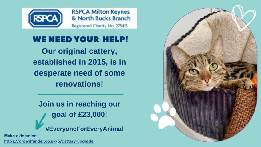 Rspca cattery sales