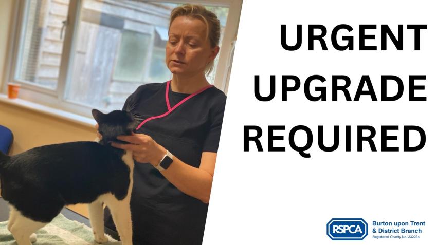 URGENT VET ROOM UPGRADE a Community crowdfunding project in