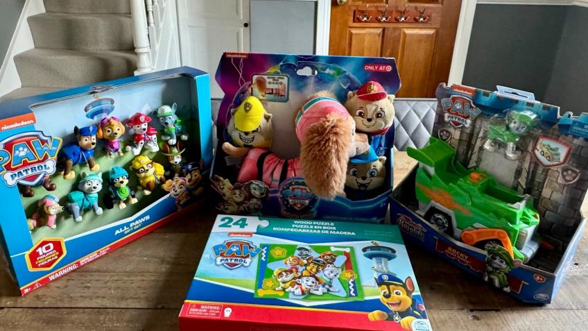 Paw Patrol Ultimate Toy Bundle a Schools crowdfunding project in Maidenhead by Ella Thiele Wade