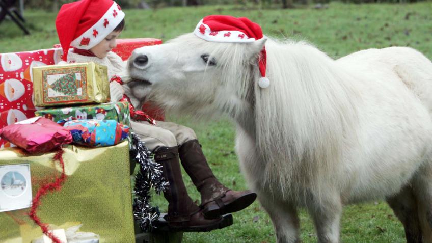 Pony christmas fancy dress best sale