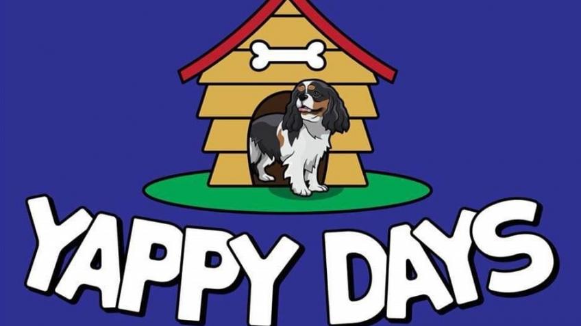 Happy days dog store daycare