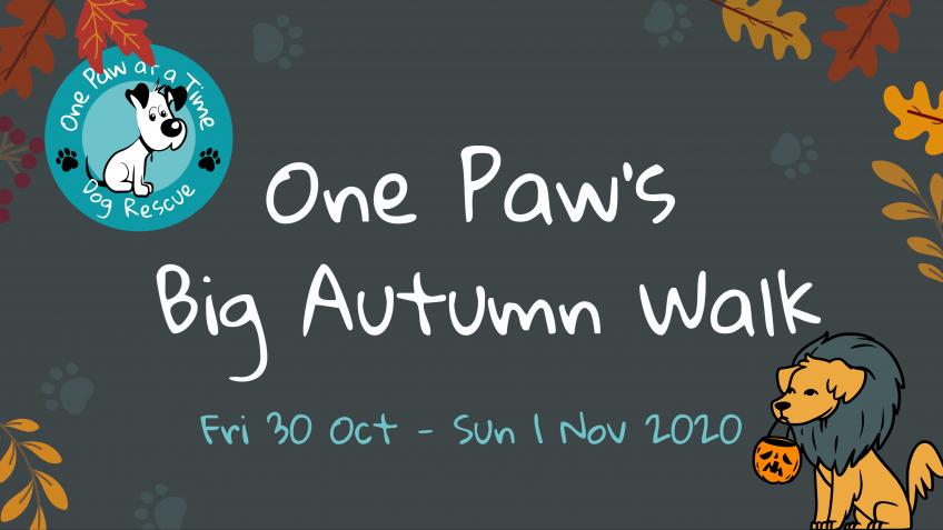 Supporting One Paw at a Time dog rescue - a Charities crowdfunding